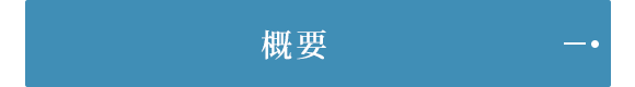 概要